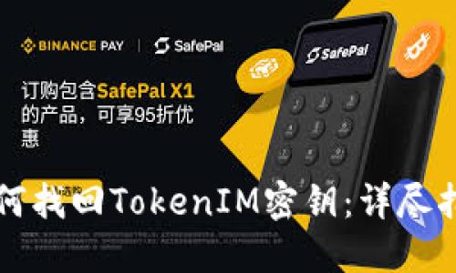 如何找回TokenIM密钥：详尽指南