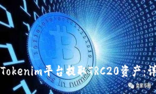 如何在Tokenim平台提取TRC20资产：详细指南