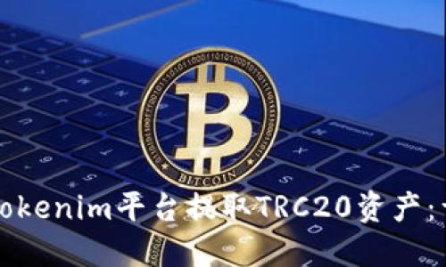 如何在Tokenim平台提取TRC20资产：详细指南