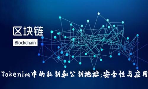 理解Tokenim中的私钥和公钥地址：安全性与应用解析