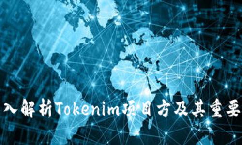 深入解析Tokenim项目方及其重要性