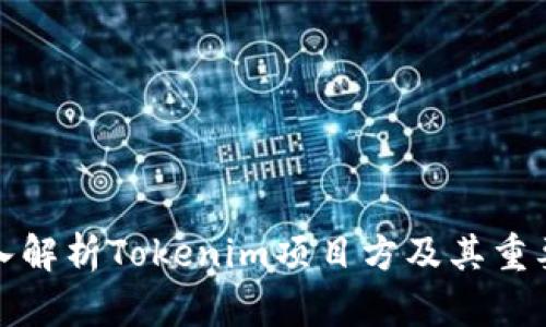 深入解析Tokenim项目方及其重要性