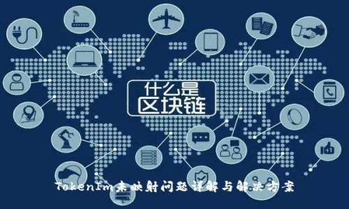 TokenIm未映射问题详解与解决方案