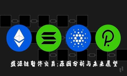 盛源链暂停交易：原因分析与未来展望