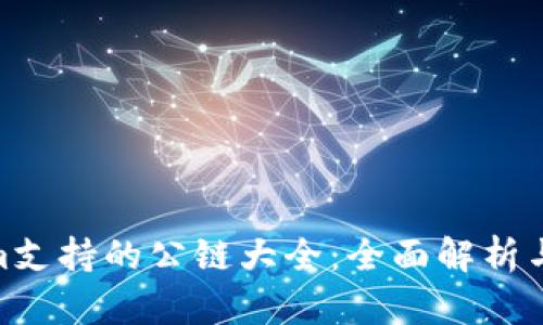 : Tokenim支持的公链大全：全面解析与发展趋势