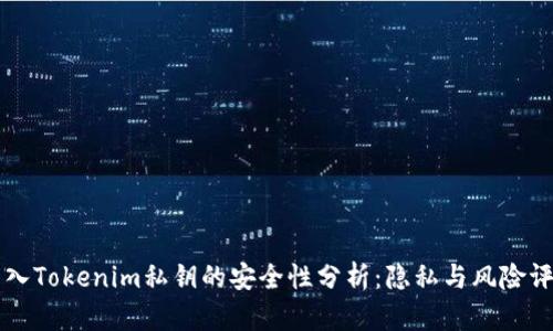 导入Tokenim私钥的安全性分析：隐私与风险评估