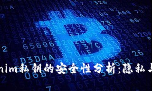 导入Tokenim私钥的安全性分析：隐私与风险评估