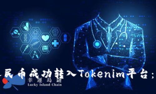 如何将人民币成功转入Tokenim平台：详细指南