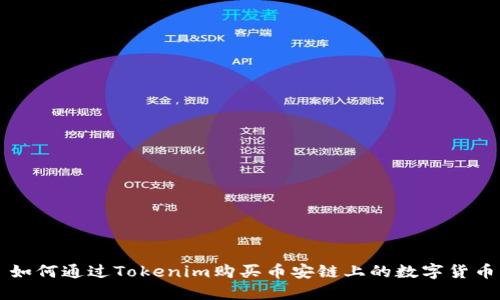 如何通过Tokenim购买币安链上的数字货币