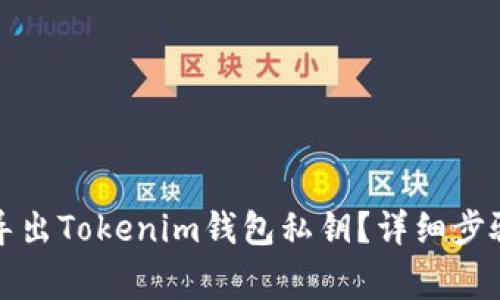 如何安全地导出Tokenim钱包私钥？详细步骤与注意事项