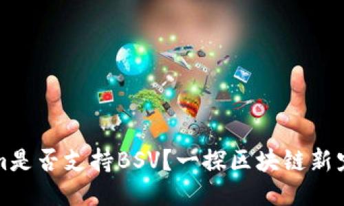 Tokenim是否支持BSV？一探区块链新宠的未来