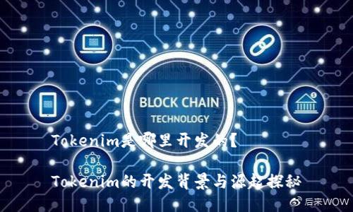 Tokenim是哪里开发的？

Tokenim的开发背景与源起探秘