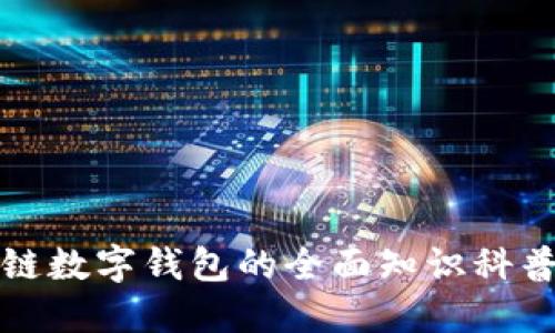 区块链数字钱包的全面知识科普视频