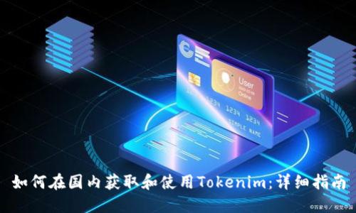 如何在国内获取和使用Tokenim：详细指南
