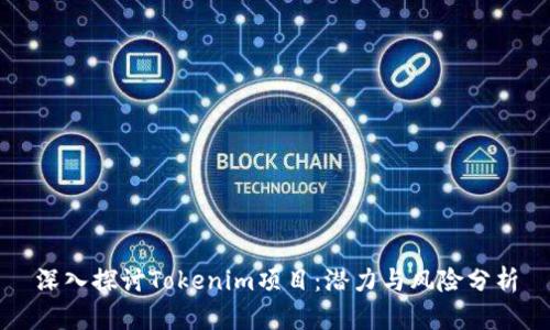 深入探讨Tokenim项目：潜力与风险分析