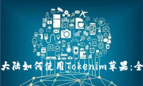 在中国大陆如何使用Tokenim苹果：全面指南