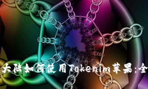 在中国大陆如何使用Tokenim苹果：全面指南