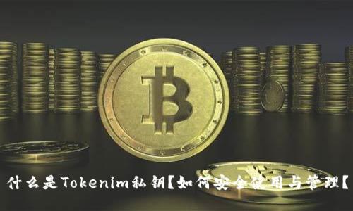 什么是Tokenim私钥？如何安全使用与管理？
