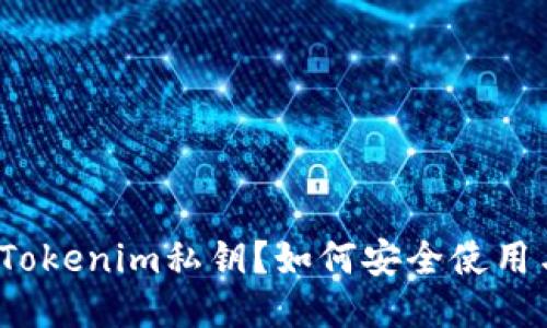 什么是Tokenim私钥？如何安全使用与管理？