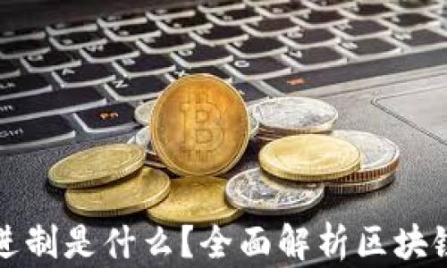 
区块链钱包地址使用的进制是什么？全面解析区块链钱包地址的结构与特征
