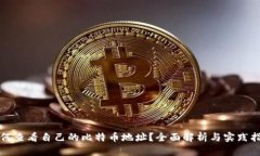 如何查看自己的比特币地址？全面解析与实践指
