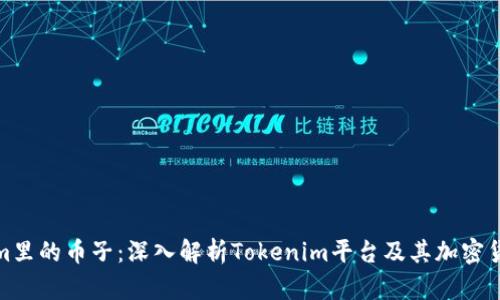 Tokenim里的币子：深入解析Tokenim平台及其加密货币生态