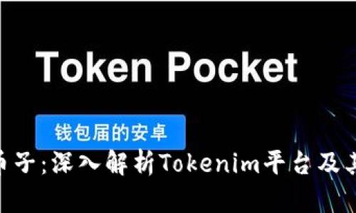 Tokenim里的币子：深入解析Tokenim平台及其加密货币生态