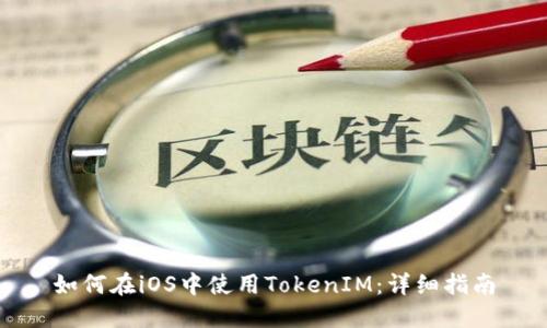 如何在iOS中使用TokenIM：详细指南