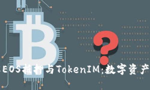 深入了解EOS抵押与TokenIM：数字资产的新纪元