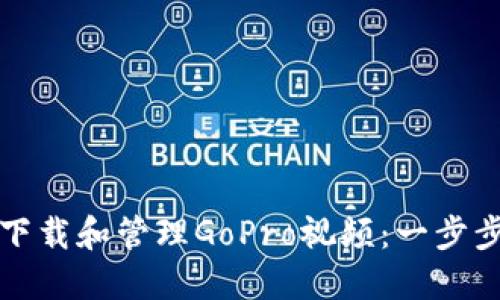 如何下载和管理GoPro视频：一步步指南