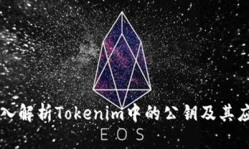 深入解析Tokenim中的公钥及其应用