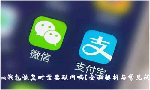 Tokenim钱包恢复时需要联网吗？全面解析与常见问题解答
