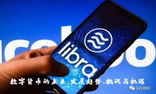 数字货币的未来：发展趋势、挑战与机遇
