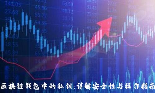   
区块链钱包中的私钥：详解安全性与操作指南