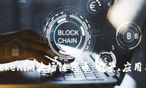 深入解析Tokenim波场链代币：前景、应用与投资价值
