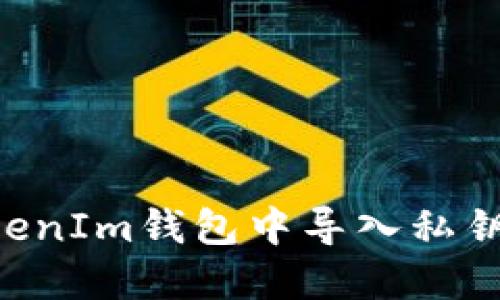 如何在TokenIm钱包中导入私钥：详细指南