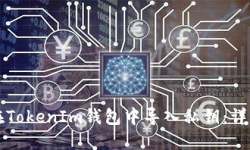 如何在TokenIm钱包中导入私钥：详细指南