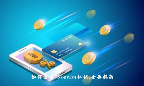 如何查看Tokenim私钥：全面指南