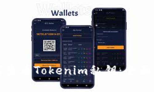如何查看Tokenim私钥：全面指南