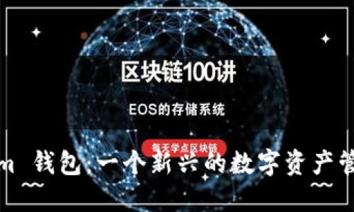 Tokenim 钱包：一个新兴的数字资产管理工具