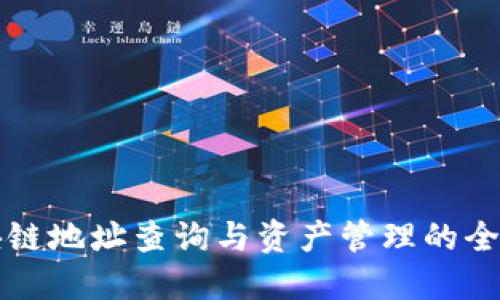 波场区块链地址查询与资产管理的全方位指南
