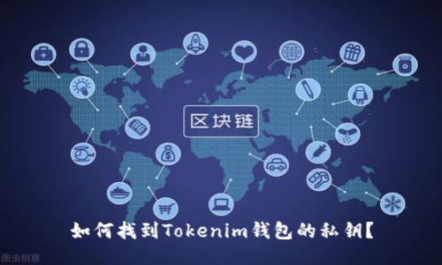 如何找到Tokenim钱包的私钥？