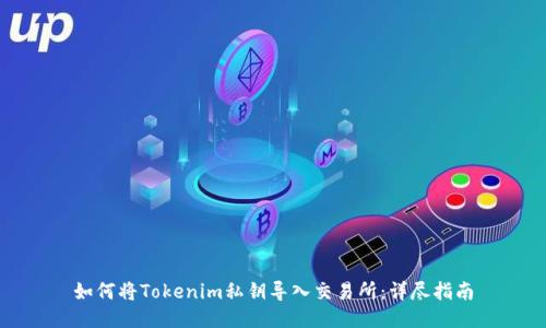 如何将Tokenim私钥导入交易所：详尽指南