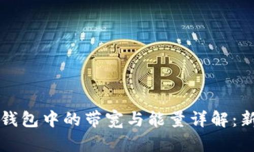 区块链钱包中的带宽与能量详解：新手必读