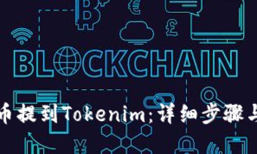 如何将屎币提到Tokenim：详细步骤与技巧解读