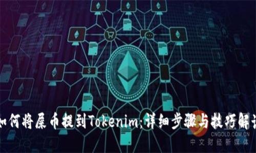 如何将屎币提到Tokenim：详细步骤与技巧解读