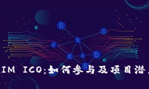 TokenIM ICO：如何参与及项目潜力分析