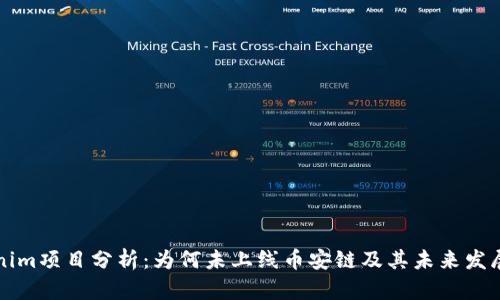 Tokenim项目分析：为何未上线币安链及其未来发展潜力