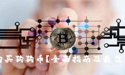 在哪里购买狗狗币？全面指南及最佳平台推荐