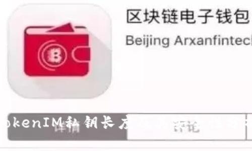TokenIM私钥长度及其安全性分析